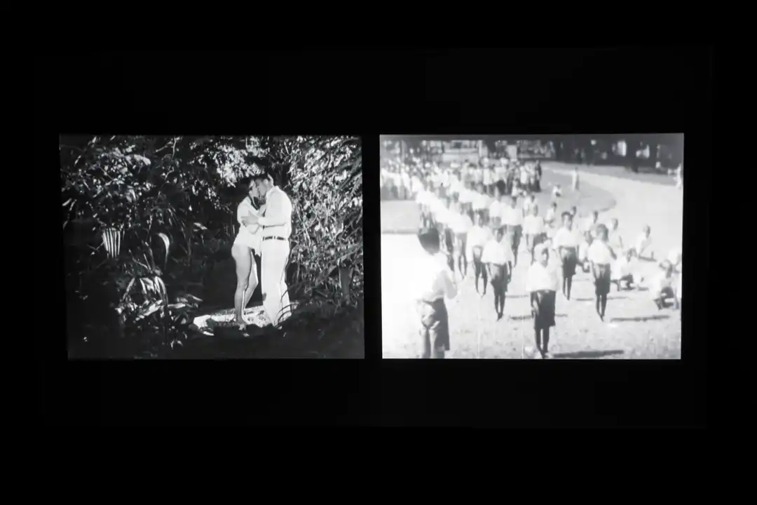 Photos from the exhibition On the Nature of Botanical Gardens (2020)  Curated by Sadiah Boonstra at Framer Framed (2020)  © Eva Broekema / Framer Framed