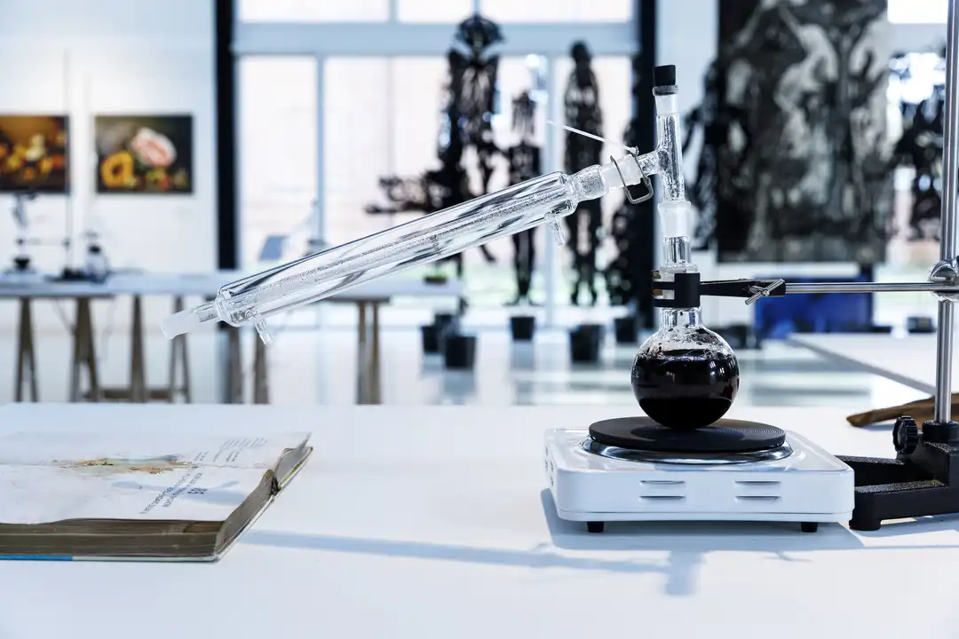 Photos from the exhibition On the Nature of Botanical Gardens (2020)  Curated by Sadiah Boonstra at Framer Framed (2020)  © Eva Broekema / Framer Framed