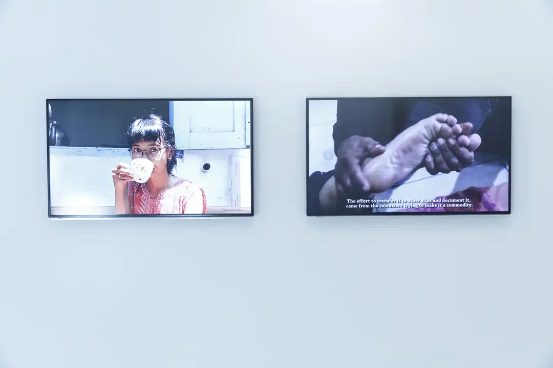 Photos from the exhibition On the Nature of Botanical Gardens (2020)  Curated by Sadiah Boonstra at Framer Framed (2020)  © Eva Broekema / Framer Framed