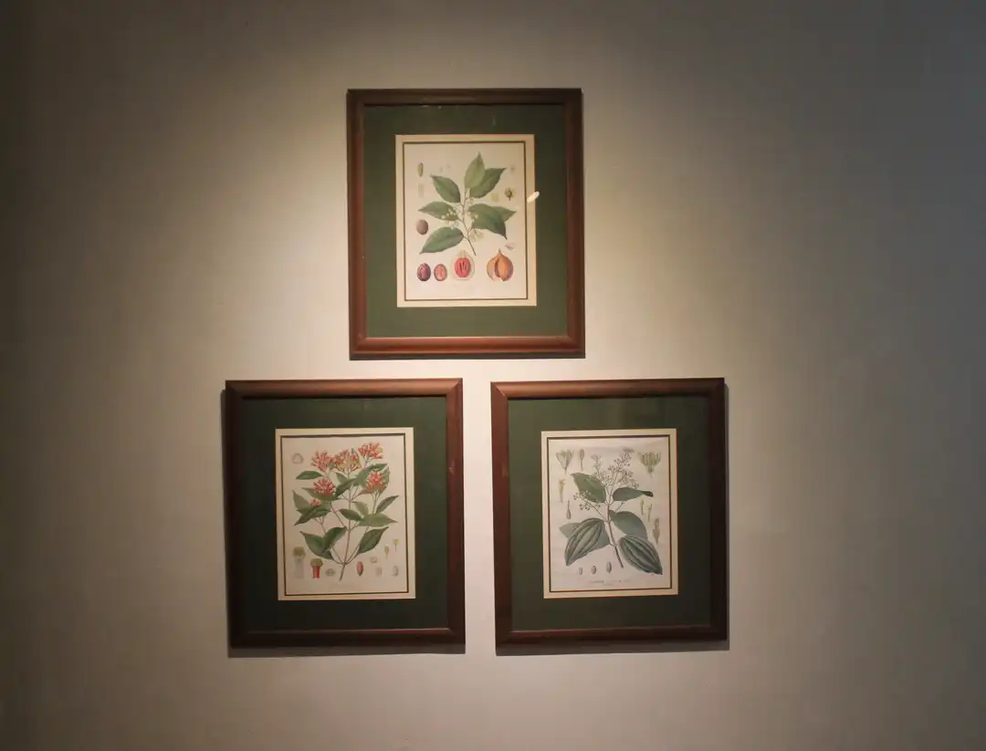 Photos from the exhibition Banda, Heritage for Indonesia by Widigdya Nalendra Curated by Sadiah Boonstra and Wim Manuhutu for Yayasan Warisan Budaya Banda Naira 20 September - 4 October 2017 Erasmus Huis, Jakarta, Indonesia Supported by Kementerian Pendidikan dan Kebudayaan, Galeri Nasional, Netherlands Embassy in Jakarta In collaboration with Bartele Gallery