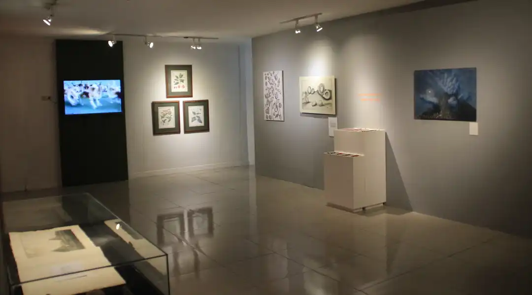 Photos from the exhibition Banda, Heritage for Indonesia by Widigdya Nalendra Curated by Sadiah Boonstra and Wim Manuhutu for Yayasan Warisan Budaya Banda Naira 20 September - 4 October 2017 Erasmus Huis, Jakarta, Indonesia Supported by Kementerian Pendidikan dan Kebudayaan, Galeri Nasional, Netherlands Embassy in Jakarta In collaboration with Bartele Gallery