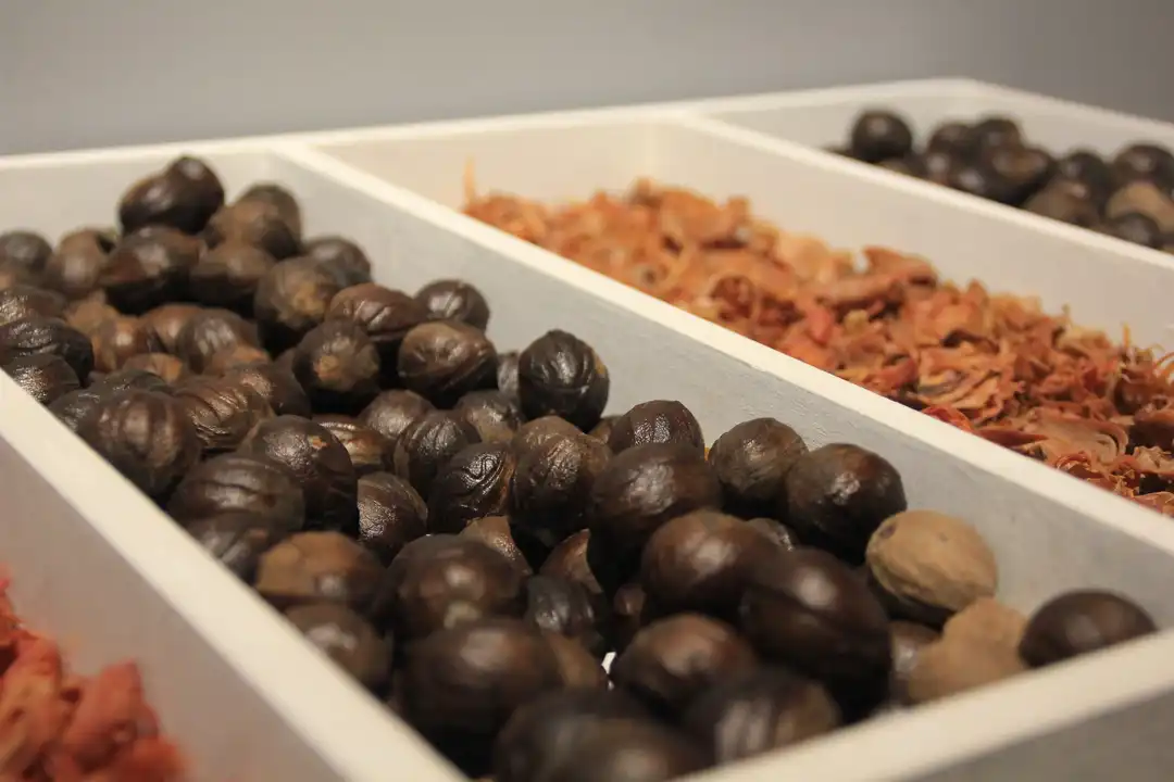 Photos from the exhibition Banda, Heritage for Indonesia by Widigdya Nalendra Curated by Sadiah Boonstra and Wim Manuhutu for Yayasan Warisan Budaya Banda Naira 20 September - 4 October 2017 Erasmus Huis, Jakarta, Indonesia Supported by Kementerian Pendidikan dan Kebudayaan, Galeri Nasional, Netherlands Embassy in Jakarta In collaboration with Bartele Gallery